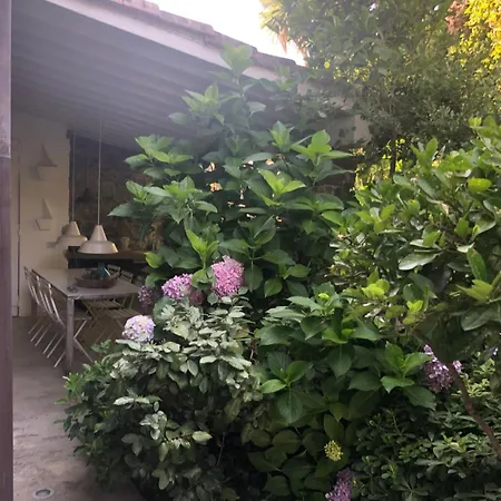 Michele * Vezzano Ligure